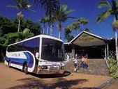 Rainforestation Nature Park - Australia Accommodation 5