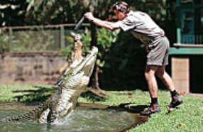 Reef And Rainforest Connections - Australia Accommodation 3