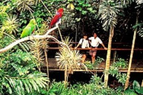 Reef And Rainforest Connections - Australia Accommodation 4