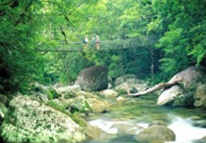 Reef And Rainforest Connections - Australia Accommodation 5