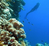 Reef Magic Cruises - Australia Accommodation