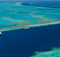 Cruise Whitsundays - Australia Accommodation