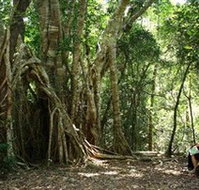The Airlie Creek Track - Australia Accommodation