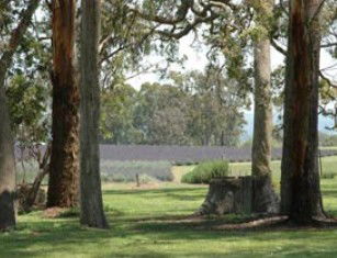Greenlands QLD Australia Accommodation
