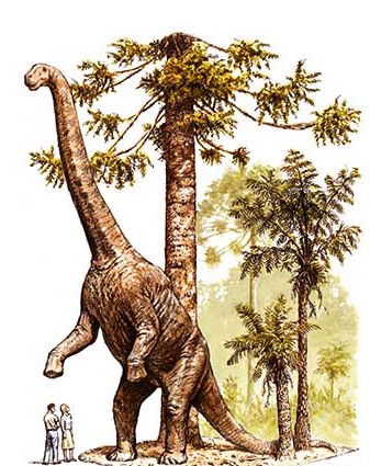 Australian Age Of Dinosaurs - Australia Accommodation 2