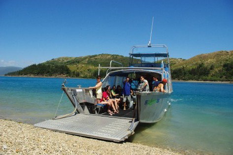 Scamper - Whitsunday Island Camping Connection - Australia Accommodation 0