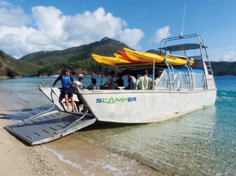 Scamper - Whitsunday Island Camping Connection - Australia Accommodation 3