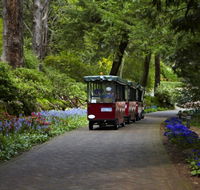 Araluen Botanic Park - Australia Accommodation