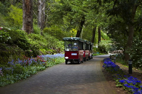 Araluen Botanic Park - Australia Accommodation 0
