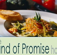 Land of Promise Hotel - Australia Accommodation