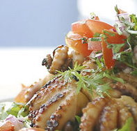 Nicks Bar and Grill - Australia Accommodation