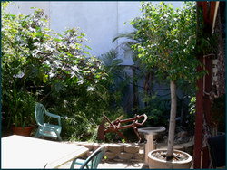 Land Of Promise Hotel - Australia Accommodation 3