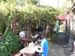 Blackcat - Australia Accommodation 3
