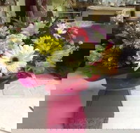 Bahia Restaurant - Australia Accommodation