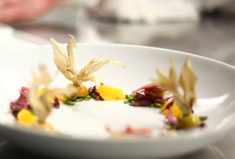 Jellyfish Restaurant - Australia Accommodation 0