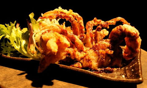 O'Sushi Japanese Restaurant - Australia Accommodation 3