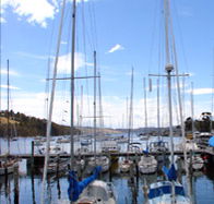 Oyster Cove Inn - Australia Accommodation