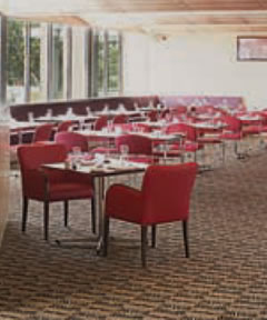 Trinity Bar And Restaurant - Australia Accommodation 2