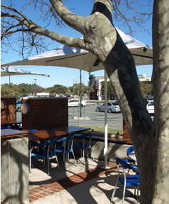 Lakers Tavern - Australia Accommodation 3