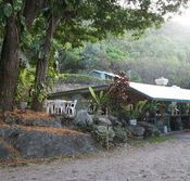 Ellis Beach Bar  Grill - Australia Accommodation