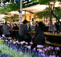 Quay Bar - Australia Accommodation 0