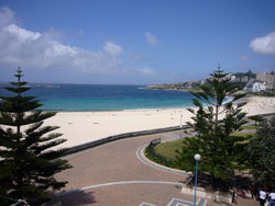 Aquarium - Australia Accommodation 2