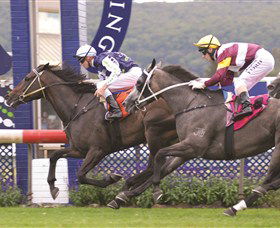 Gosford Race Club - Australia Accommodation 0