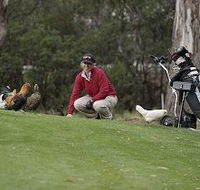 Tasmania Golf Club - The - Australia Accommodation