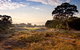 Kingston Heath Golf Club - thumb 0