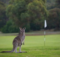 Anglesea Golf Club - Australia Accommodation