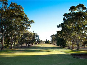 Loxton North SA Australia Accommodation