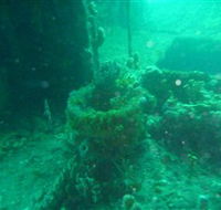 Wallaroo Scuba Club - Australia Accommodation