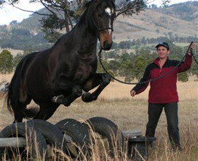 Kings Creek Saddle Club - Australia Accommodation 5