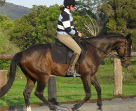 Kings Creek Saddle Club - Australia Accommodation 6