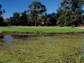Riverside Golf Club Ltd - Australia Accommodation 0