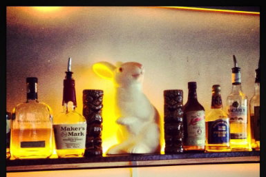 Hairy Canary - Australia Accommodation 0