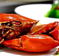 Newquay International Buffet - Australia Accommodation