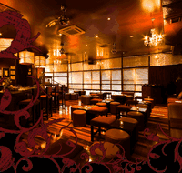 Hippo Lounge Bar - Australia Accommodation