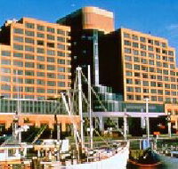 The Atrium Bar - Australia Accommodation