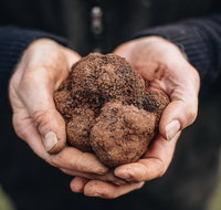 A Taste of Truffles - Australia Accommodation