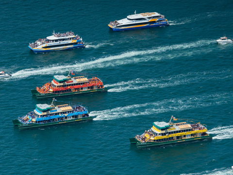 Australia Day Sydney Harbour Cruises - Australia Accommodation 1