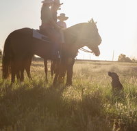 Balonne Cutting Horse Futurity - Australia Accommodation