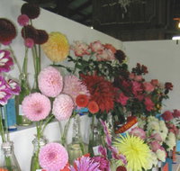 Dalgety Show - Australia Accommodation