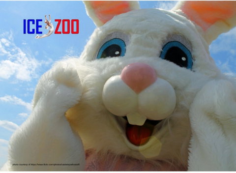 Easter Egg-stravaganza - Australia Accommodation 0