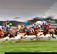 Grafton July Racing Carnival - Australia Accommodation