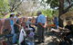 Herring Island Summer Arts Festival - thumb 0