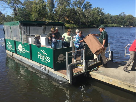 Herring Island Summer Arts Festival - Australia Accommodation 1