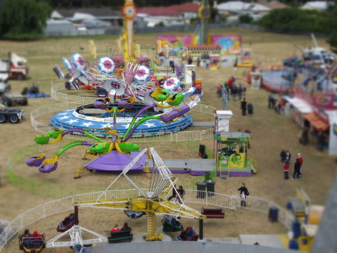 Millicent Agricultural And Horticultural Show - Australia Accommodation 0