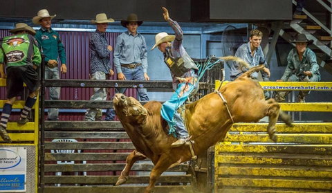 Top Gun And Young Gun Series Round 8 - Australia Accommodation 0