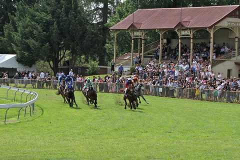 Tumut Derby Day - Australia Accommodation 0